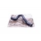Furtun radiator RENAULT MEGANE I 1.9 DTI 1.9DCI SCENIC I 1.9 DTI 1.9 DCI, 7700420940 7700420940