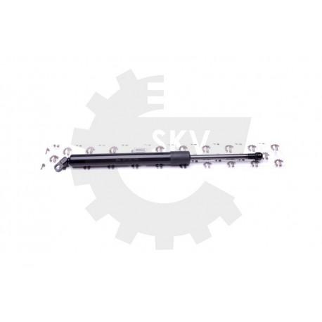 Amortizor portbagaj BMW 5 (E39) 51248222913 51248222913