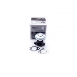 Supapa EGR VW PASSAT B5 2.5 TDI 059131503 59131503