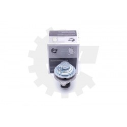 Supapa EGR SMART FORTWO, 0.8 CDI, A6391400560 A6391400560