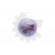 Pompă de combustibil FORD GALAXY MONDEO IV S-MAX 1506989 1506989