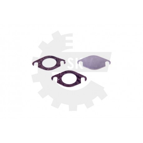 Set pentru reparat EGR RENAULT NISSAN OPEL 2.0 DCI CDTI 0