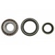 SET RULMENȚI ROATĂ SPATE NISSAN PATROL GR Y60, Y61 4321001J10