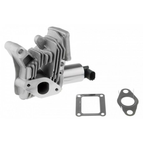 SUPAPĂ EGR RENAULT LAGUNA II 1.9DCI 01-, MEGANE 1.9DCI 02- 7701058850