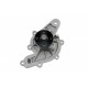 POMPA APĂ SMART 0.6/0.7/0.8 CDI 01- 4681V002