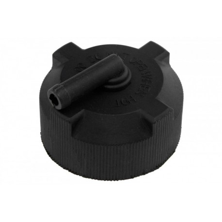BUȘON VEXPANSIUNE FIAT, ALFA ROMEO, LANCIA, PEUGEOT, CITROEN 46556738