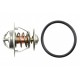 TERMOSTAT VW GOLF 97-, PASSAT 96-, TRANSPORTER 90-, POLO 94-, SHARAN 95-,BORA 98-, TOURAN 03-, NEW BEETLE 98-, CADDY 96-, SKODA