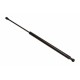 Amortizor capota LEXUS GS 05- 53440-0W091