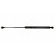 CAPACUL MOTORULUI AMORT.P508 10- 792529