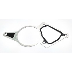 GARNITURA POMPEI DE VID FORD, PSA, FIAT 2.2TDI 1116997