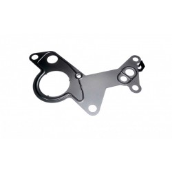 GARNITURĂ PENTRU POMPA DE VID AUDI, SKODA, VW 038145215