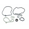 SET DE GARNITURI PENTRU POMPA DE VID (7 PIESE) VW 038145209A