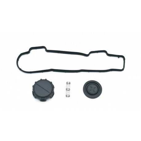 KIT DE REPARARE A CAPACULUI SUPAPEI FORD, MAZDA 0248L1