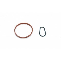 SET DE GARNITURI PENTRU POMPA DE VID PSA,FORD,OPEL 1743896