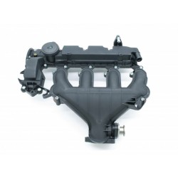 CAPACUL SUPAPEI