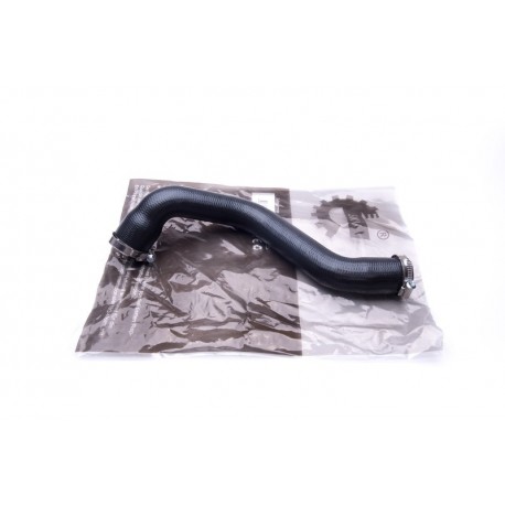 Furtun aer supraalimentare RENAULT MEGANE II 1.5 DCI 8200306925