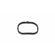 GARNITURA COLECTORULUI DE ADMISIE CLIO 1.6 16V 05- 8200275057