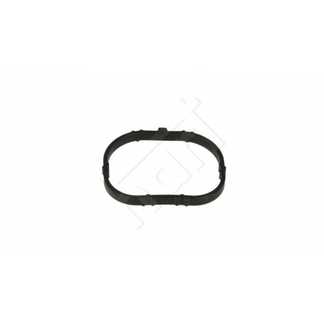 GARNITURA COLECTORULUI DE ADMISIE CLIO 1.6 16V 05- 8200275057