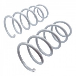 ARCURI DE SUSPENSIE FAȚĂ DACIA LOGAN 6001547496