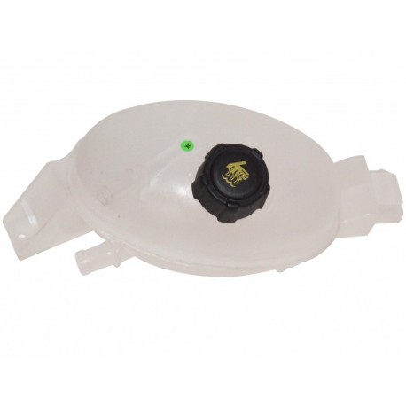 REZERVOR DE EXPANSIUNE RENAULT MASTER 10 2.3DCI 217100015R