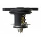 TERMOSTAT FORD FIESTA VI VII 1.0 1.1 12- CA6G8575CA