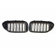 Grila BMW 5 G30 2017-2020 negru lucios 2 linii (set de 2 buc).