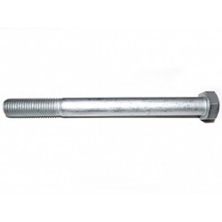 AMORT BOLT IVECO ZILNIC 06 15202431