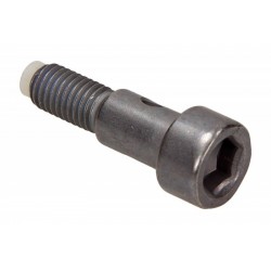 ȘURUB DE FIXARE PENTRU CONECTOR TURBO PEUGEOT/CITROEN 1.4-2.2 HDI 31293408