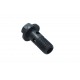 ȘURUB GOL M10X1.0X23 NISSAN QASHQAI, X-TRAIL, RENAULT MASTER, TRAFIC 1643200Q0H