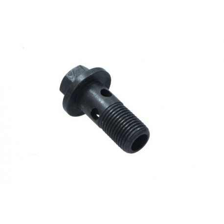 ȘURUB GOL M10X1.0X23 NISSAN QASHQAI, X-TRAIL, RENAULT MASTER, TRAFIC 1643200Q0H