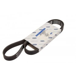 CUREA CU NERVURI MULTIPLE ÎN FORMĂ DE V PENTRU FORD FOCUS II 1.8/2.0 ELAST. 6PK1249 ELAST 7M5Q6C301DA