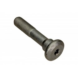 ȘURUB BRAȚ DE CONTROL CITROEN P. C2, C3, DS3/ PEUGEOT 1007 352269