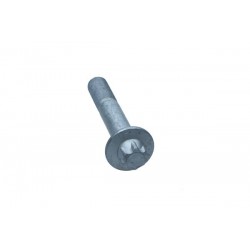 ȘURUB BRAȚ DE CONTROL CITROEN/PEGUEOT C5/407 364818
