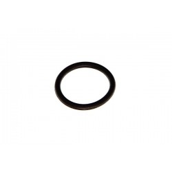 POMPA DE VID O-RING (MIC) PEGUEOT PARTNER, 405, 306 / CITROEN BERLINGO 1.9D 455606