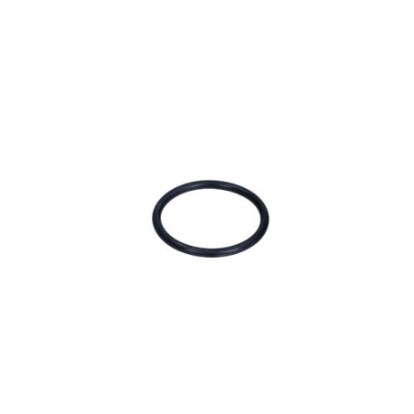 GARNITURĂ CILINDRU SUSPENSIE CITROEN T. C5 527228