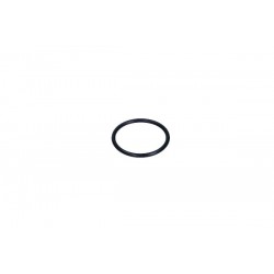 O-RING AL DISPOZITIVULUI DE APRINDERE PEUGEOT 205, 307, 309, 605 1.1/1.4/1.6 593360