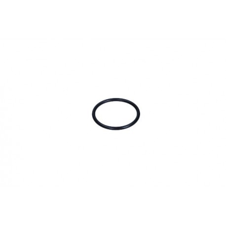 O-RING AL DISPOZITIVULUI DE APRINDERE PEUGEOT 205, 307, 309, 605 1.1/1.4/1.6 593360