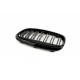 CAPACUL MOTORULUI ATRACȚIE DUBLĂ STICLĂ ALBASTRĂ NEGRU BMW 2 F45 51137467461