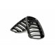 Acoperiș motor ATTRACTOR dublu lamă lucios negru BMW 3 E92 Coupe 51712155451