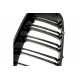 ATRACȚIE CAPAC MOTOR STICLĂ ALBASTRĂ DUBLĂ NEGRU BMW 3 F34 51712410146
