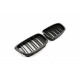 Acoperiș motor ATTRACTOR dublu lamă carbon BMW 5 E39 51132497261