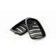 Acoperiș motor ATTRACTOR dublu lamă carbon BMW 5 E39 51132497261