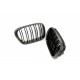 Acoperiș motor ATTRACTOR dublu lamă carbon BMW 5 E39 51132497261