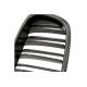 Acoperiș motor ATTRACTOR dublu lamă carbon BMW 5 E39 51132497261
