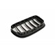 Acoperiș motor ATTRACTOR dublu lamă negru mat BMW 5 F10 51137261356
