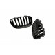 Acoperiș motor ATTRACTOR foaie unică negru lucios BMW X5 E53 Facelift 51137124815