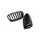 Acoperiș motor ATTRACTOR foaie unică negru mat BMW X5 E70 51712150246