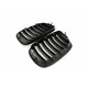 Acoperiș motor ATTRACTOR o singură foaie de carbon BMW X5 E70 51712150246