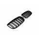 ATRACȚIE CAPAC MOTOR STICLĂ ALBASTRĂ DUBLĂ BMW X5 E70 51712150246