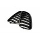 ATRACȚIE CAPAC MOTOR STICLĂ ALBASTRĂ DUBLĂ BMW X5 E70 51712150246